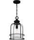 Bowles Large 1-light Outdoor Pendant Light Earth Black