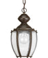 Roman Coach 1-Light Hanging Lantern Antique Bronze