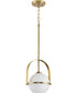 Delayne 1-Light Mid-Century Modern Etched Opal Glass Pendant Light Brushed Bronze