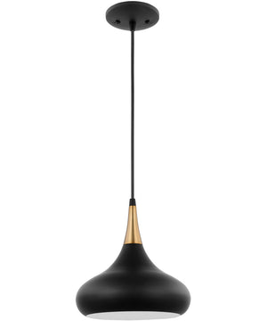 Phoenix 1-Light Pendant Matte Black / Burnished Brass