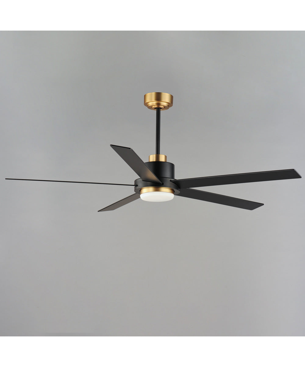Daisy 60 inch 5-Blade Fan w LED Light Kit Black / Gold