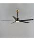 Daisy 60 inch 5-Blade Fan w LED Light Kit Black / Gold