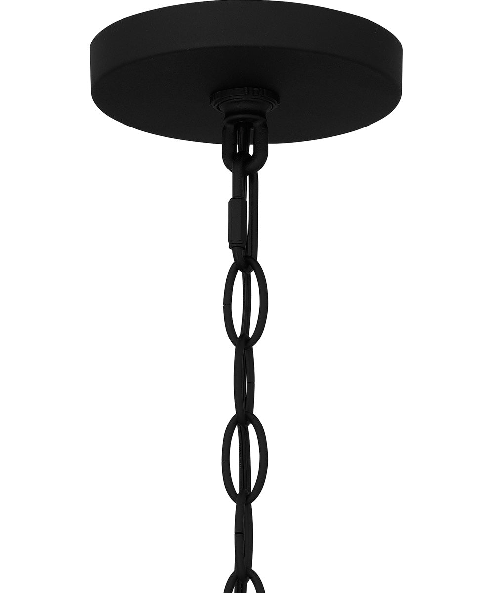 Bowles Large 1-light Outdoor Pendant Light Earth Black