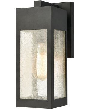 Angus 1-Light Outdoor Sconce Charcoal/Seedy Glass Enclosure