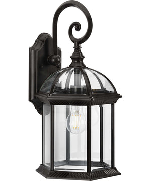 Dillard 1-Light Traditional Clear Glass Outdoor Wall Lantern Antique Bronze
