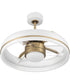 Taylor 24" 1-Light Ceiling Fan (Blades Included) White/Satin Brass