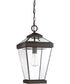 Ravine Large 1-light Outdoor Pendant Light Western Bronze