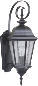 24"H Chadwick 1-Light Medium Outdoor Wall Light Midnight