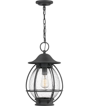 Boston Large 1-light Outdoor Pendant Light Mottled Black