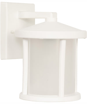 Resilience Lanterns 1-Light Outdoor Wall Lantern Matte White
