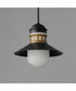 Admiralty 1-Light Outdoor Pendant Black / Antique Brass
