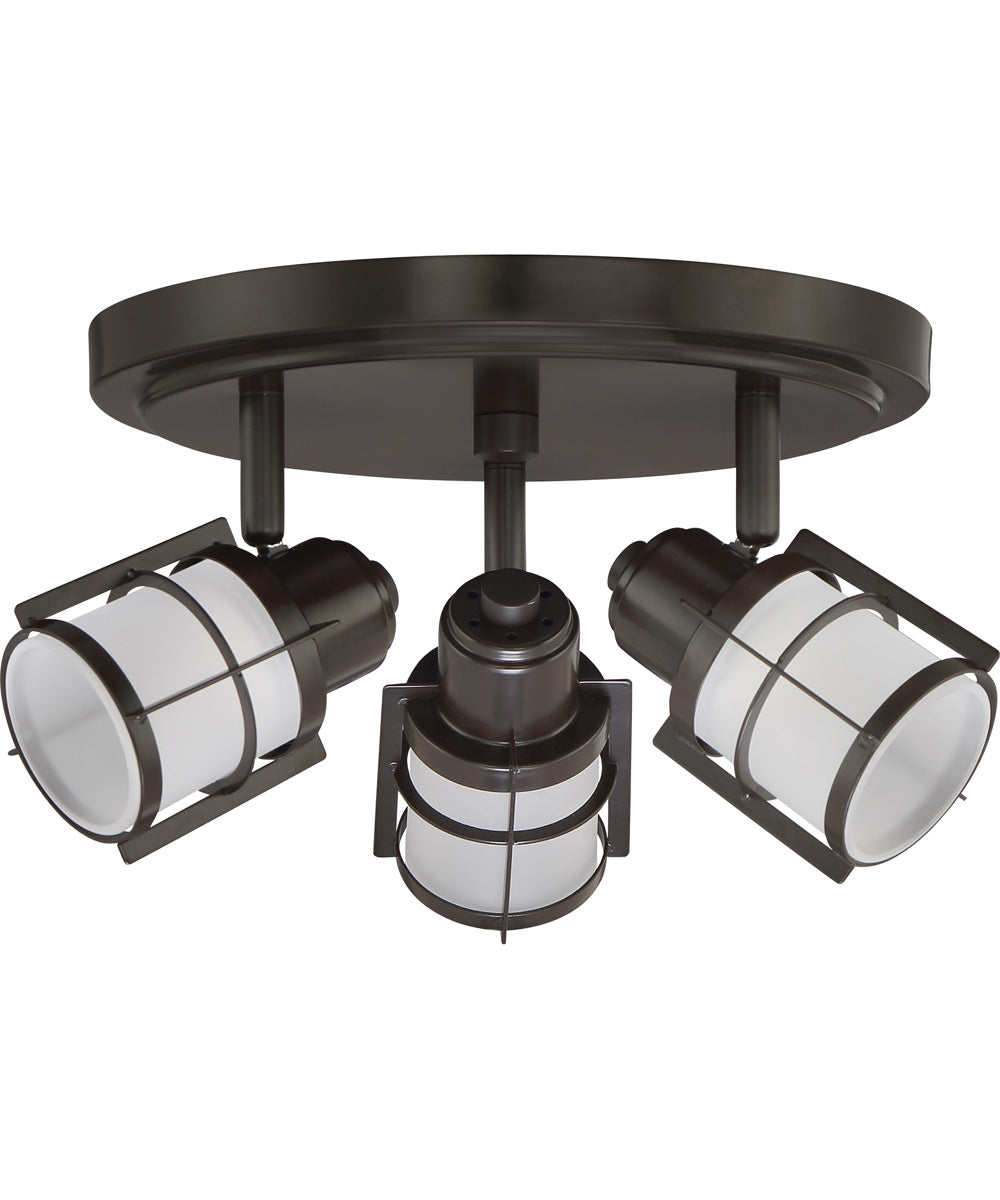 Winside  Flush Mount Western Bronze