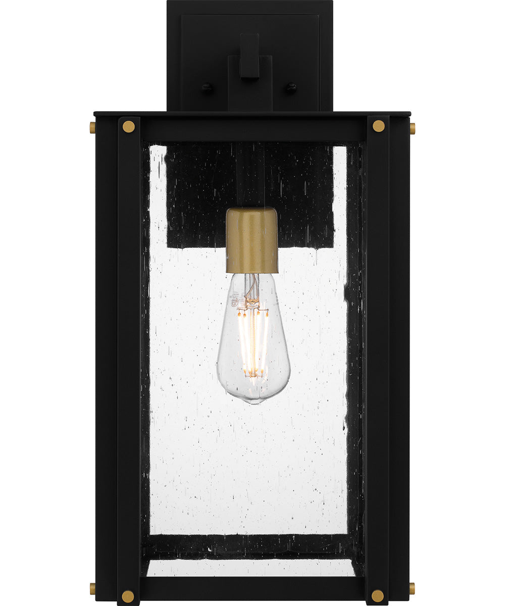 Robbins Large 1-light Outdoor Wall Light  Coastal Armour Aluminum Matte Black