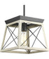 Briarwood 1-Light Coastal Mini-Pendant Light Graphite