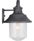 Weldon 1-Light Large Wall Lantern Textured Black