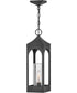 Amina 1-Light Medium Outdoor Hanging Lantern in Distressed Zinc