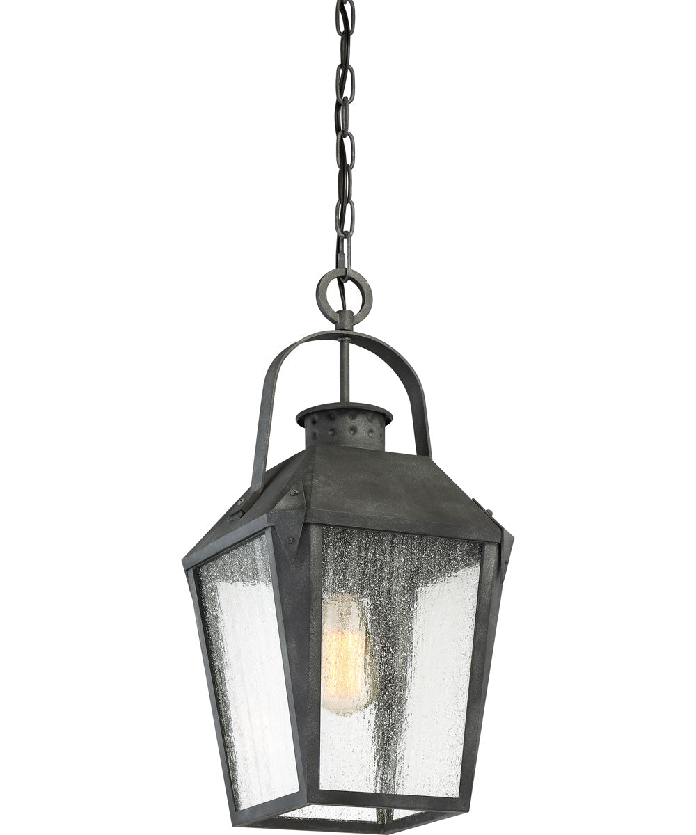 Carriage Large 1-light Outdoor Pendant Light Mottled Black