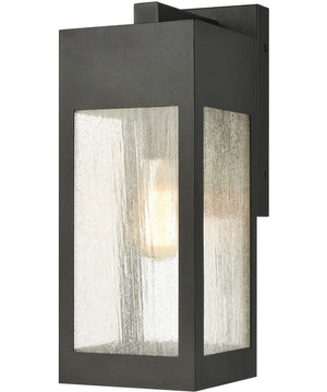 Angus 1-Light Outdoor Sconce Charcoal/Seedy Glass Enclosure