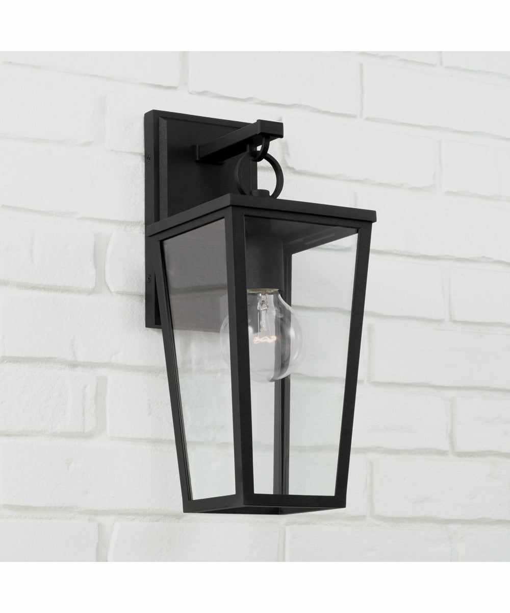 Elliott 1-Light Outdoor Wall-Lantern Rain or Shine - Black
