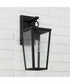 Elliott 1-Light Outdoor Wall-Lantern Rain or Shine - Black