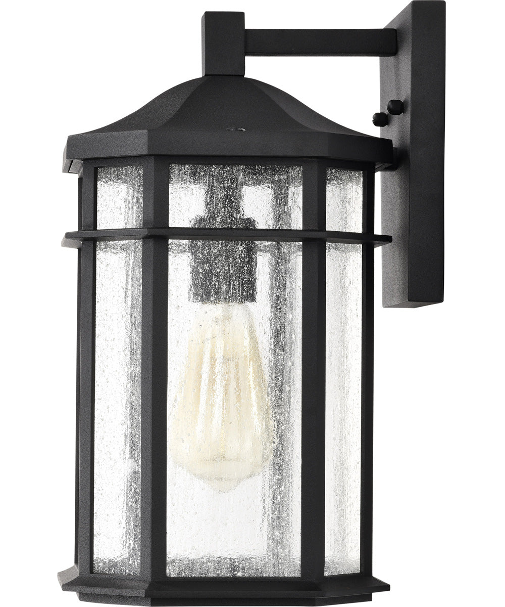 Raiden 1-Light Outdoor Matte Black