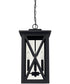 Avondale 4-Light Outdoor Hanging Rain or Shine - Black with Clear Glass
