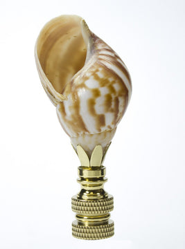 Snail Sea Shell Lamp Finial with Polished Brass Base 3.25"h