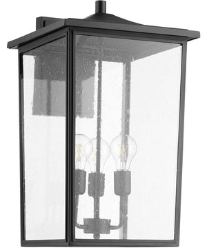 13"W Riverside 3-light Wall Mount Light Fixture Noir