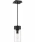 Bennet 1-Light Outdoor Pendant Midnight