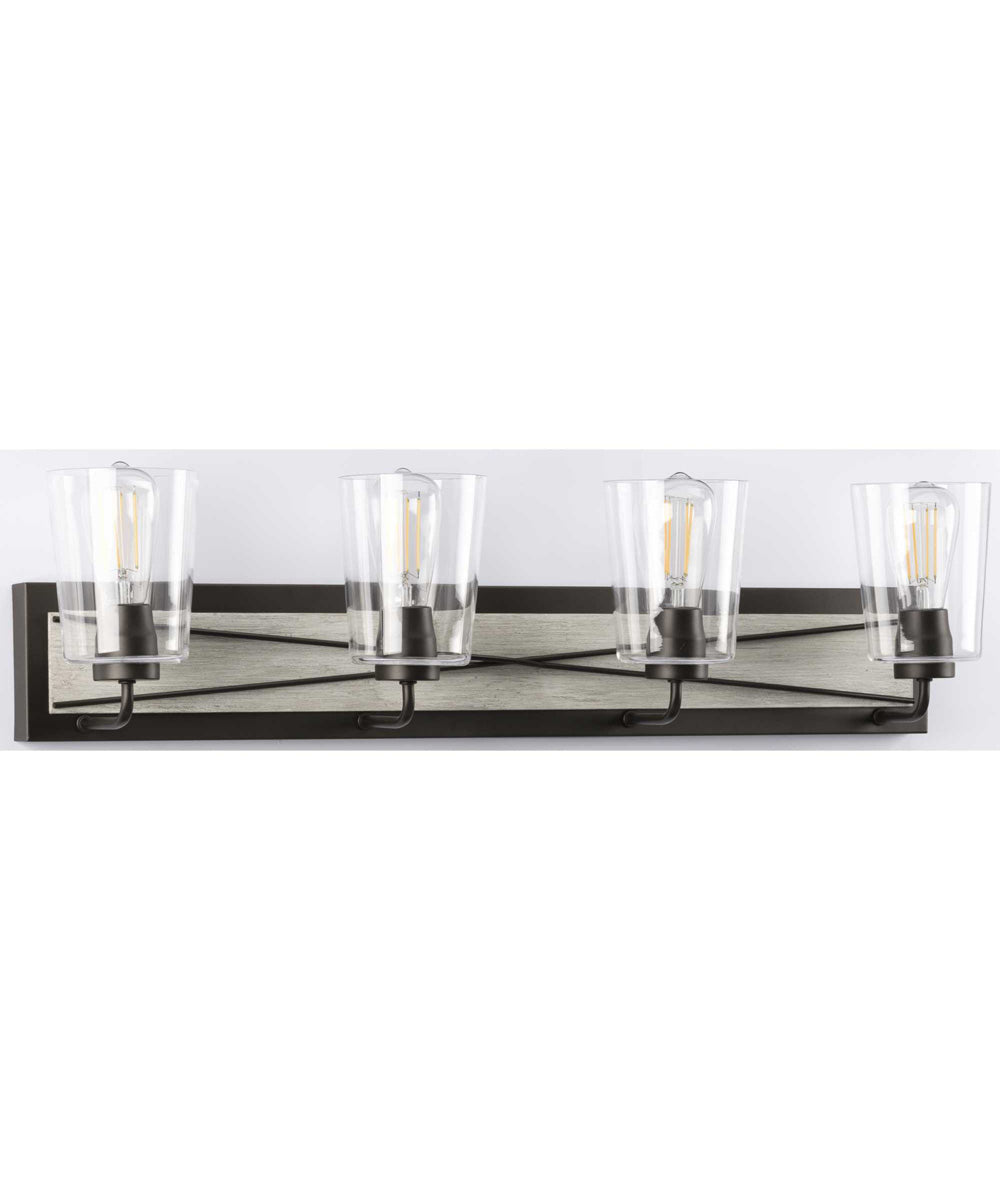 Briarwood 4-Light Clear Glass Coastal Bath Vanity Light Graphite