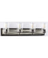 Briarwood 4-Light Clear Glass Coastal Bath Vanity Light Graphite