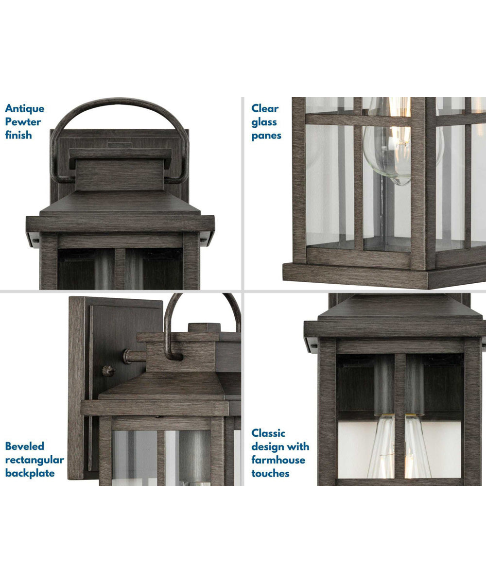 Williamston 1-Light Clear Glass Transitional Style Medium Outdoor Wall Lantern Antique Pewter