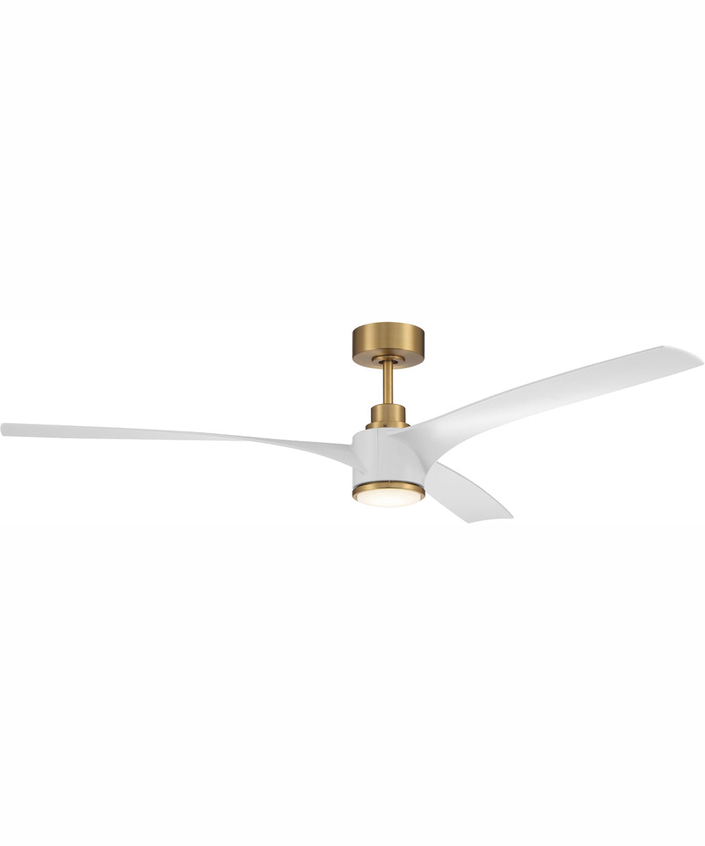 60" Phoebe 1-Light Indoor/Outdoor Ceiling Fan Satin Brass
