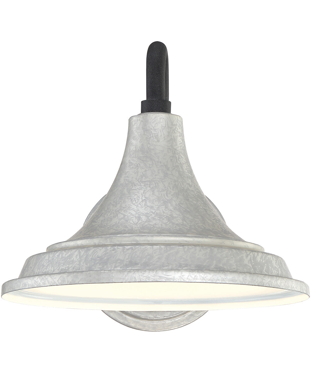 Oceanfront Medium 1-light Outdoor Wall Light Galvanized