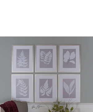 26"H x 20"W Moonlight Ferns Framed Art Set of 6