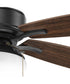 Billows 52" 5 -Blade Ceiling Fan Forged Black