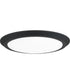 Verge  Flush Mount Earth Black