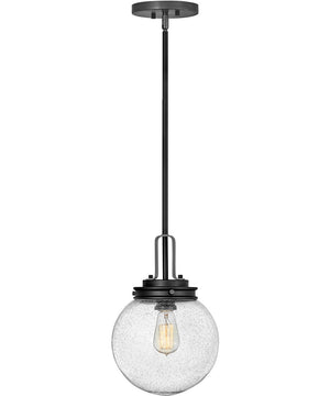 Jameson 1-Light Medium Outdoor Hanging Lantern in Black