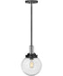 Jameson 1-Light Medium Outdoor Hanging Lantern in Black