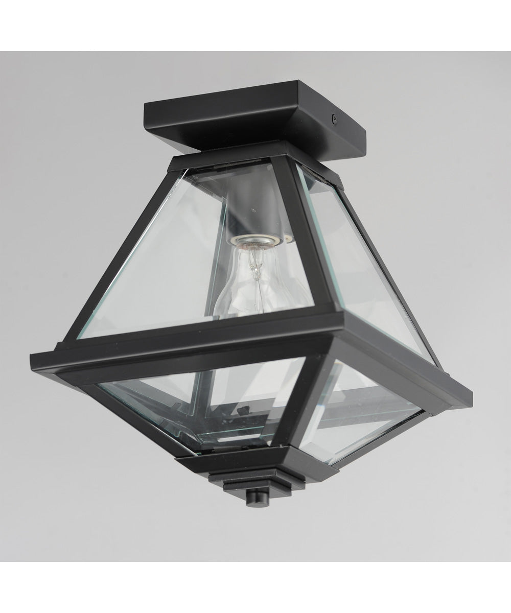 Prism 9 inch Outdoor Flush Mount Black