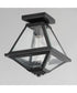Prism 9 inch Outdoor Flush Mount Black