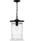 Noland 1-light Mini Pendant Matte Black
