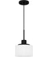 Quoizel Piccolo Pendant Small 1-light Mini Pendant Matte Black