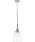 Rushton 1-Light Brushed Nickel/Black Clear Glass Industrial Style Hanging Pendant Light Brushed Nickel