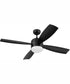 52" Sebastion 2-Light Indoor/Outdoor Ceiling Fan Flat Black