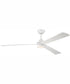 60" Sterling 1-Light Indoor/Outdoor Ceiling Fan White