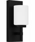Wilburn Small 1-light Bath Light Matte Black