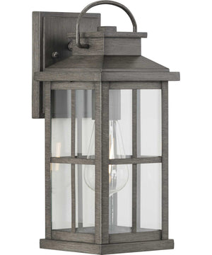 Williamston 1-Light Clear Glass Transitional Style Medium Outdoor Wall Lantern Antique Pewter