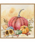 Framed Harvest Pumpkins II by Art Nd Canvas Wall Art Print (30  W x 30  H), Sylvie Maple Frame