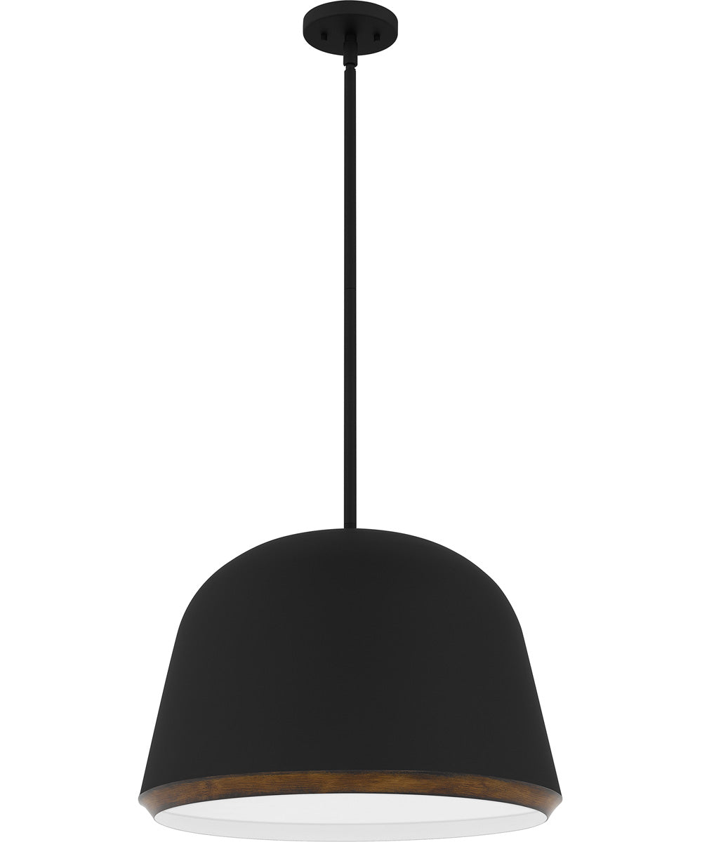 Tamara 4-light Pendant Matte Black